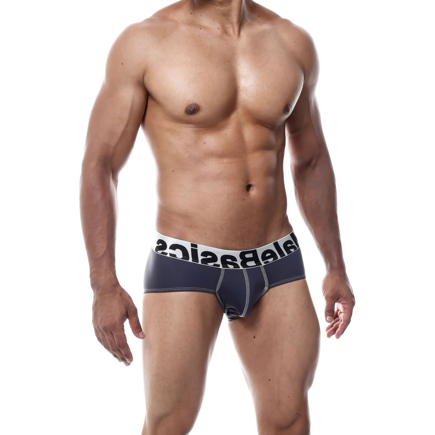 MaleBasics Microfiber Brief Gri