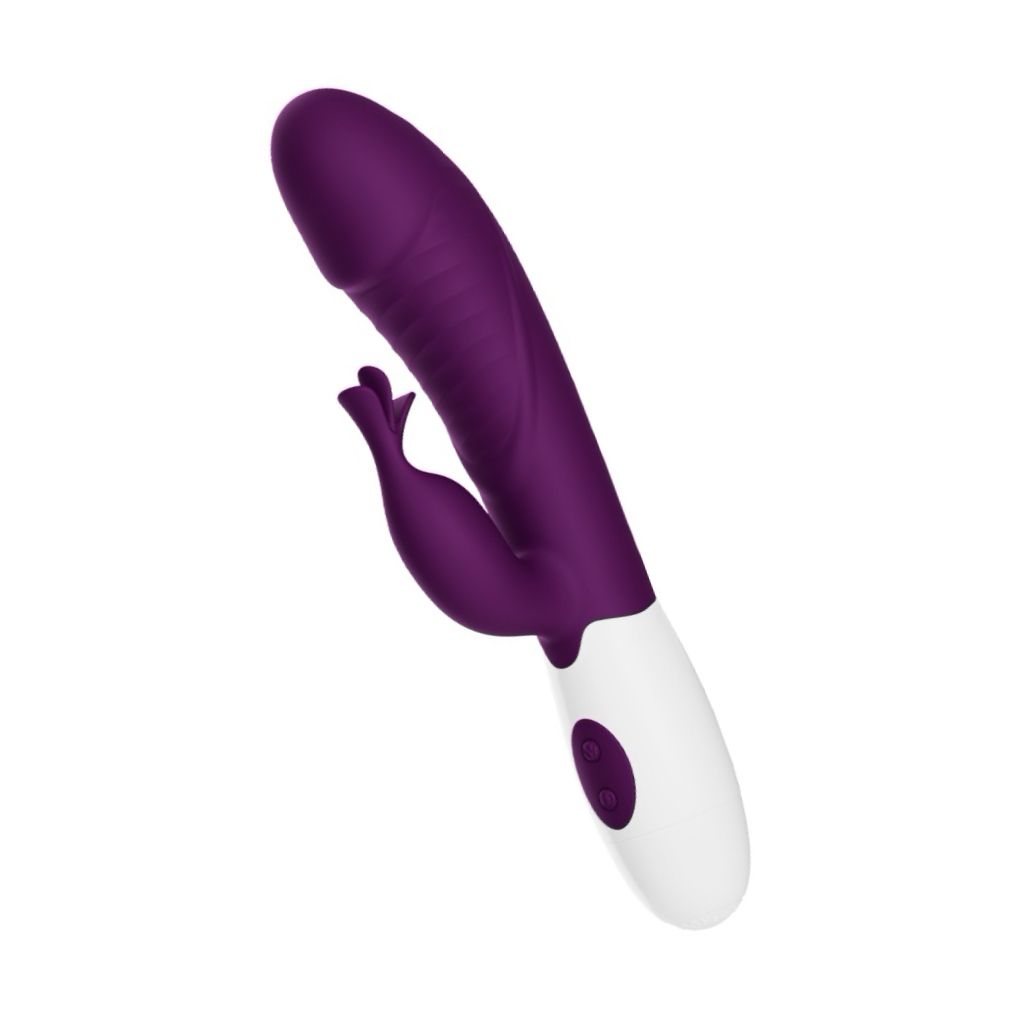 Pretty Love Rasmussen Purple, Dual Stimulator 30 Vibrații