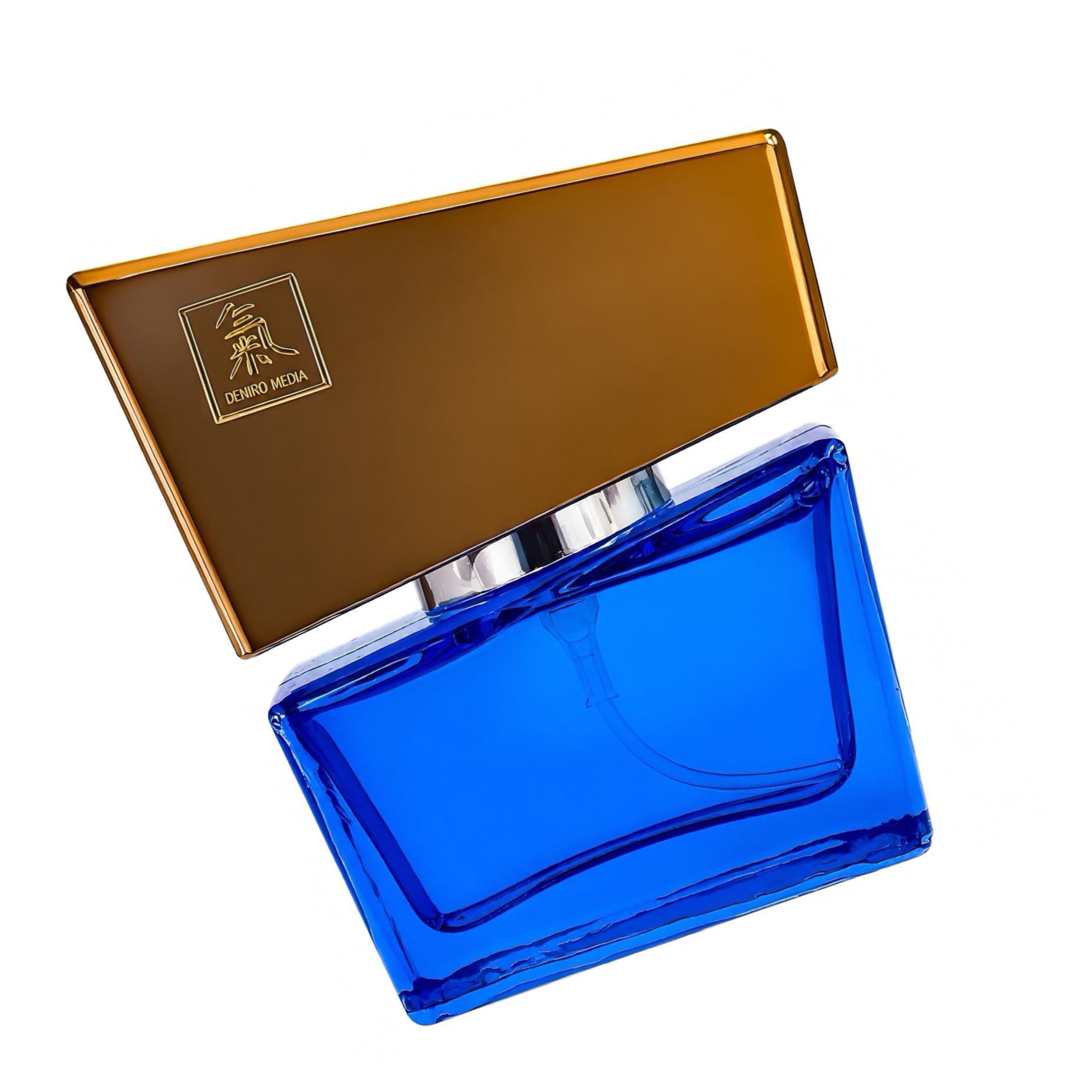 Shiatsu Pheromone Men Darkblue