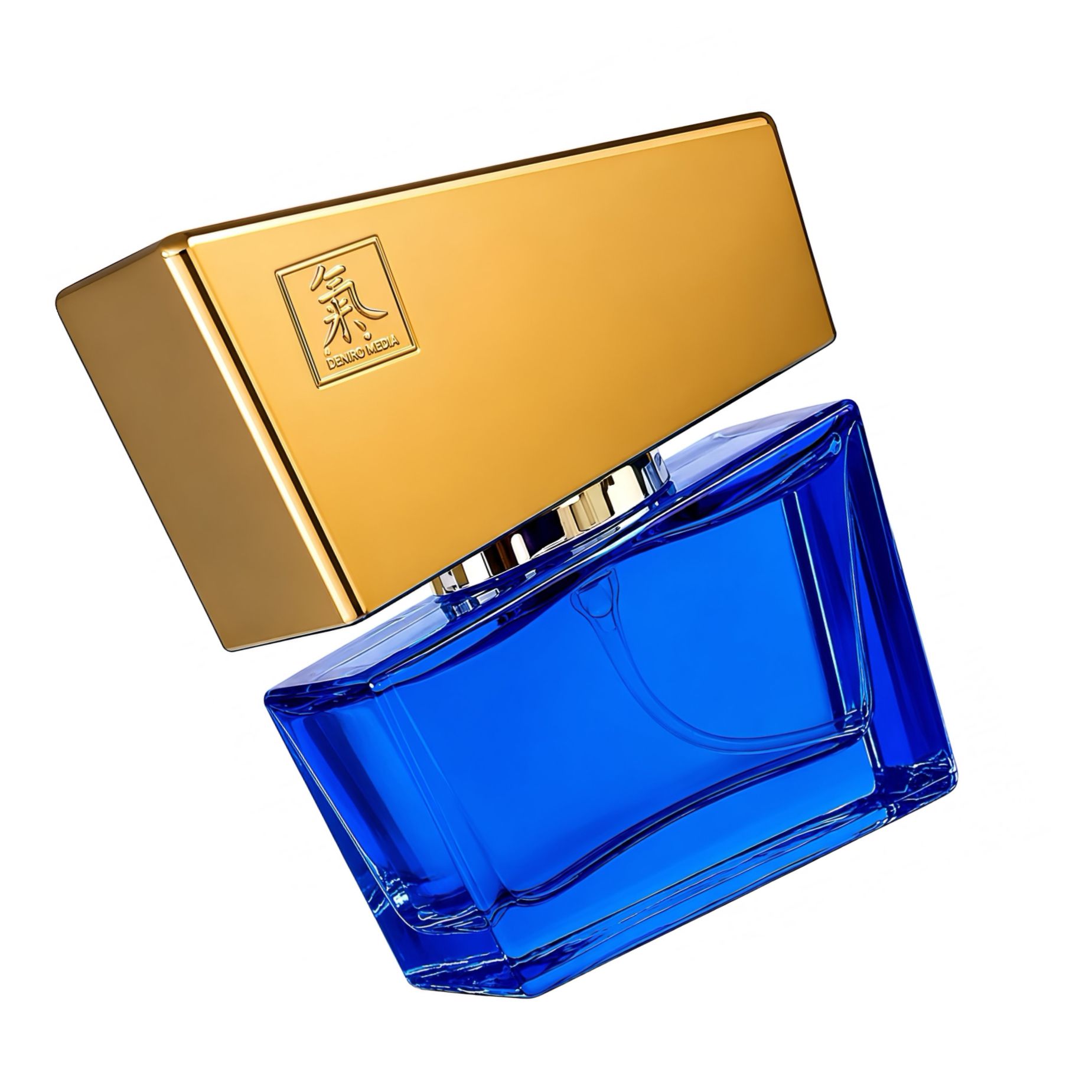 Shiatsu Pheromone Men Darkblue