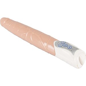 Penis Artificial Cu Vibratii - Push It! Thumb 3